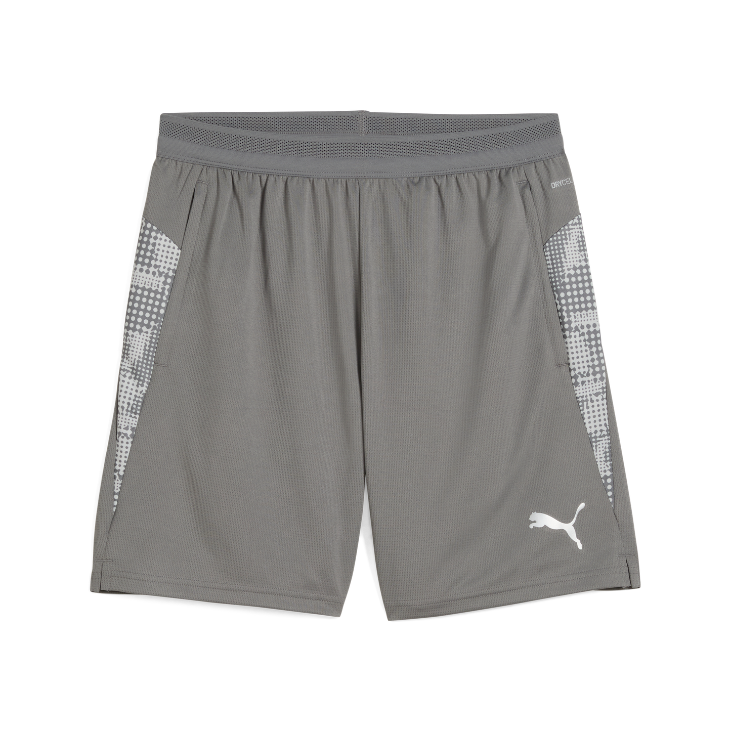 Puma teamCUP Training Shorts