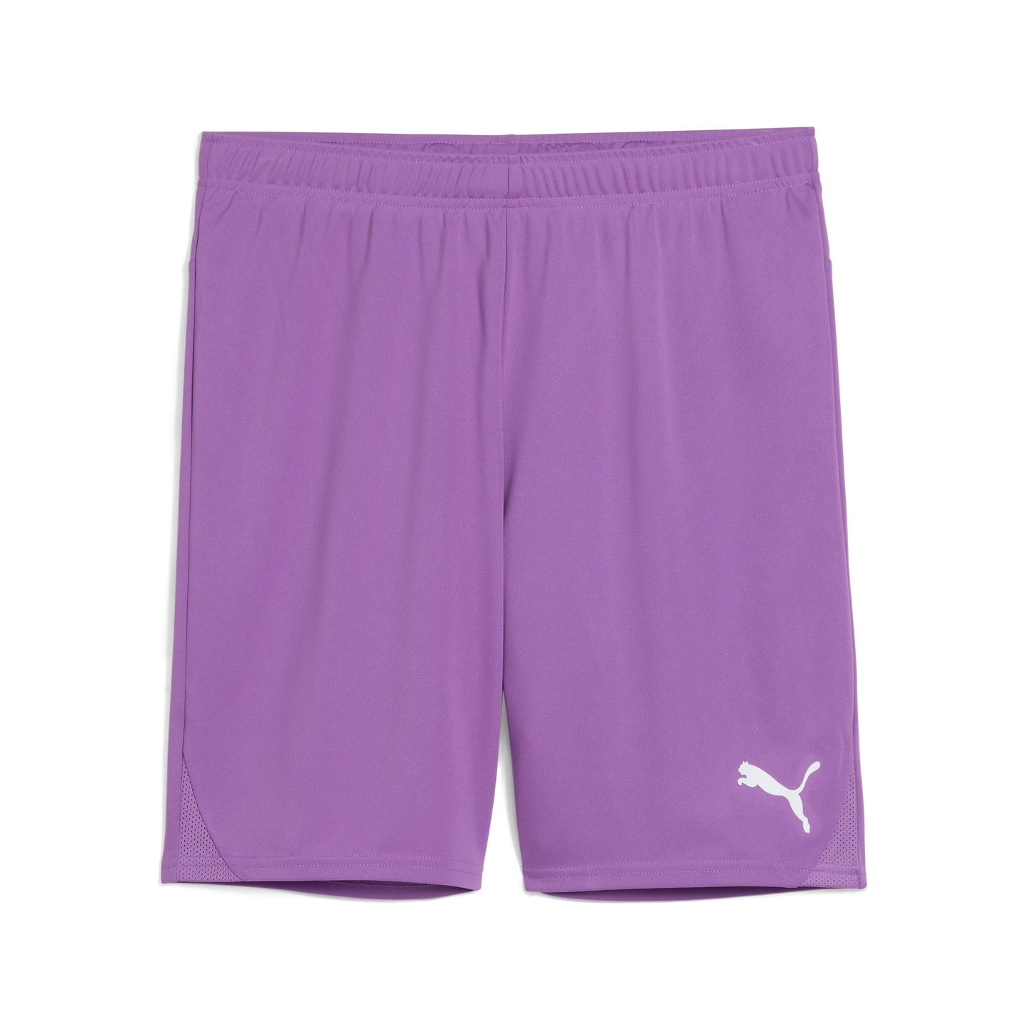 Puma teamGOAL Shorts