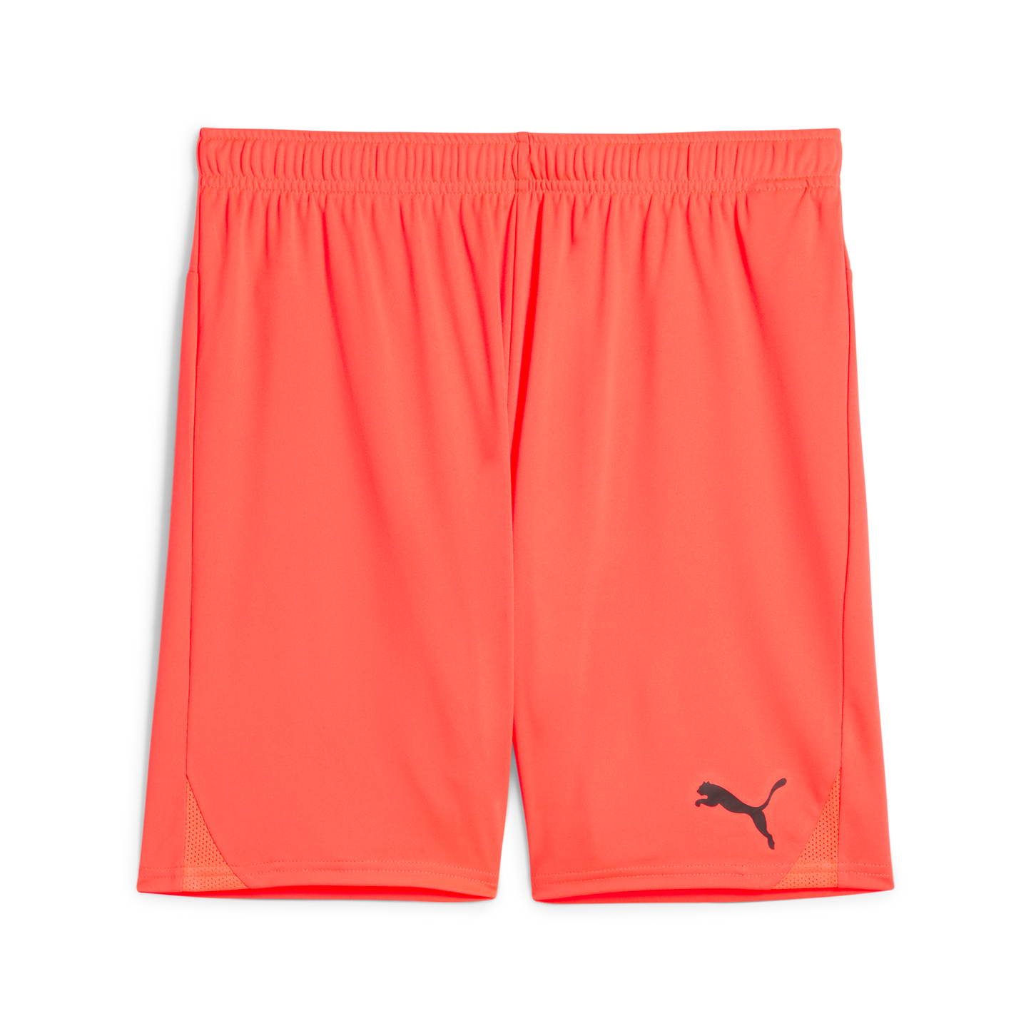 Puma teamGOAL Shorts