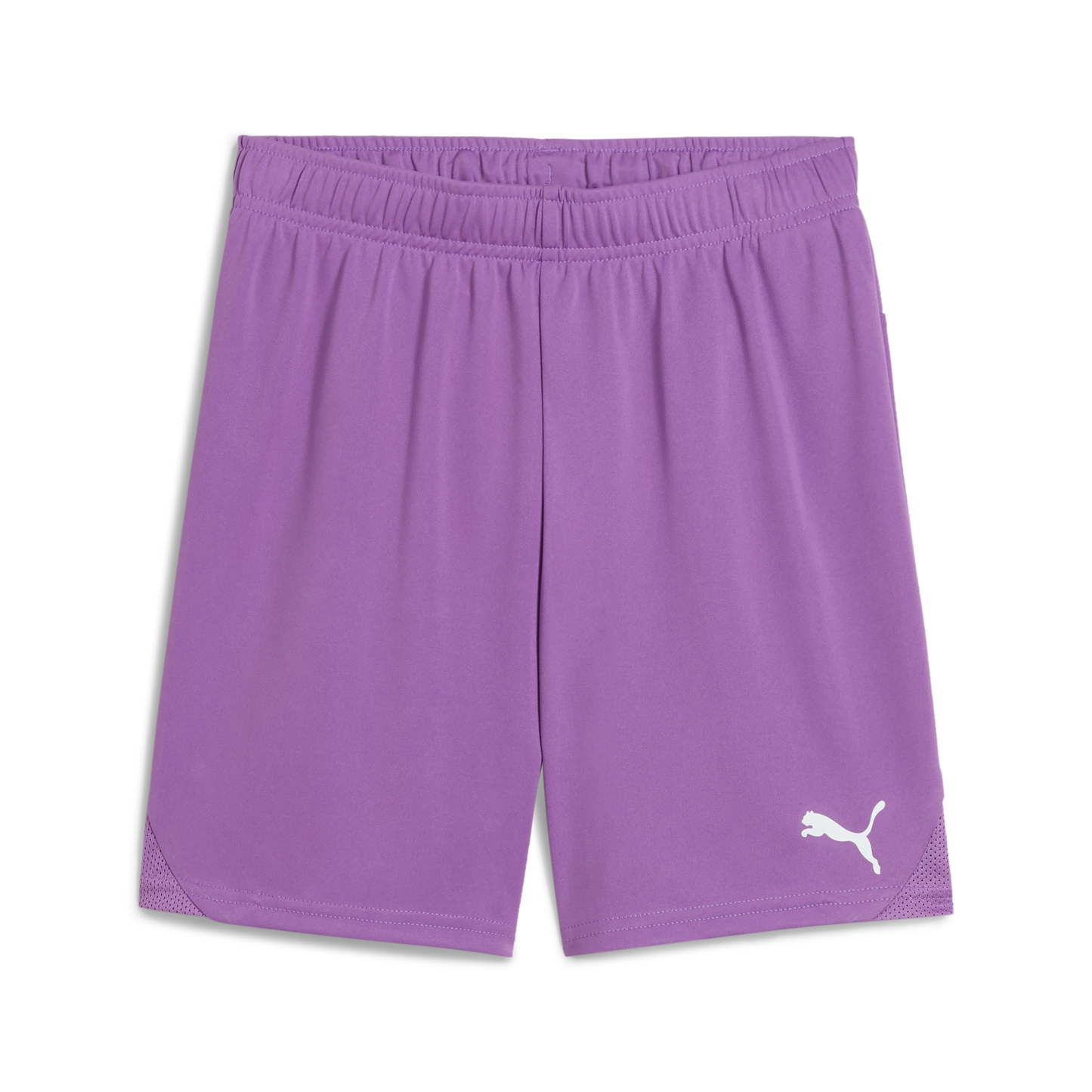 Puma teamGOAL Shorts Jr