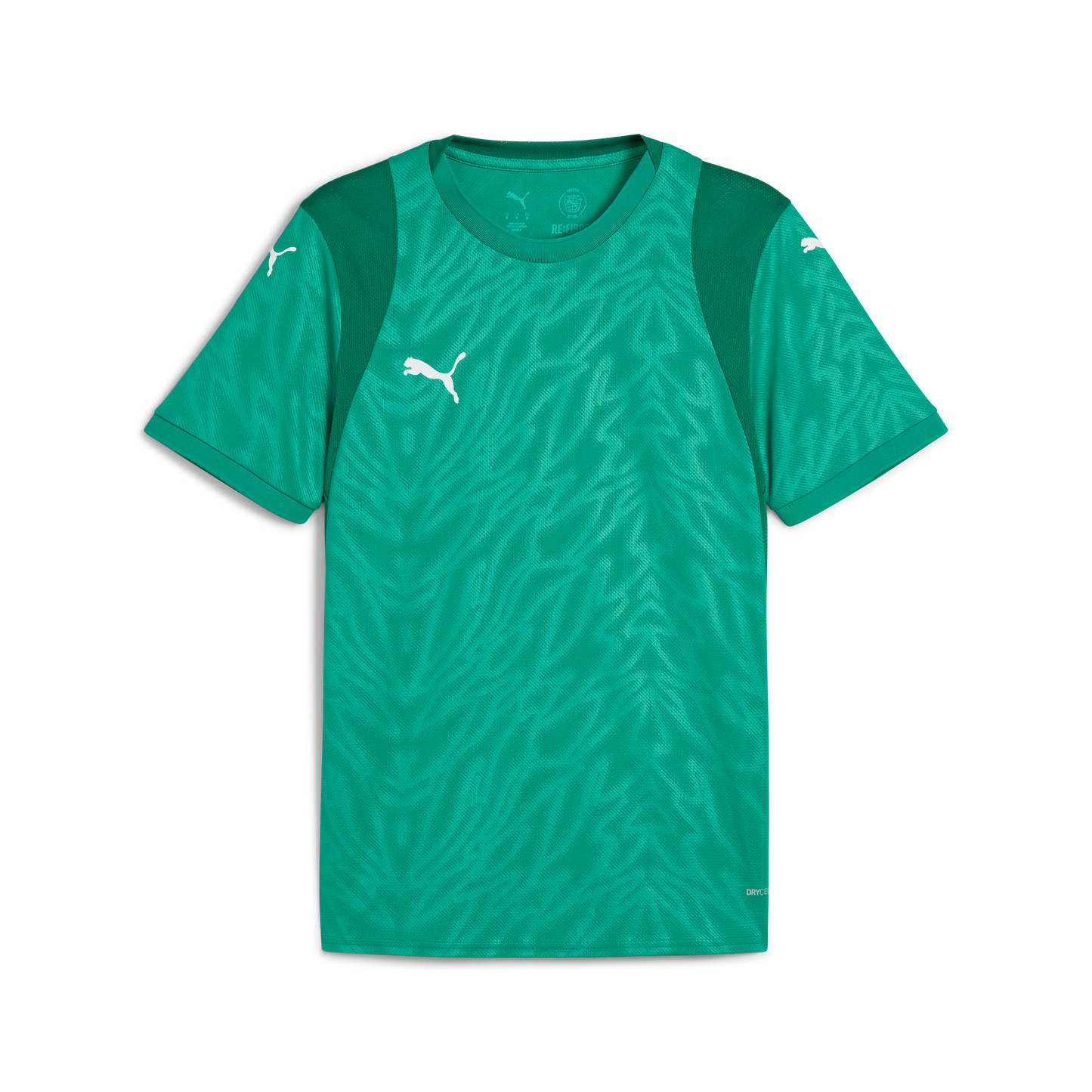 Puma teamCUP Jersey