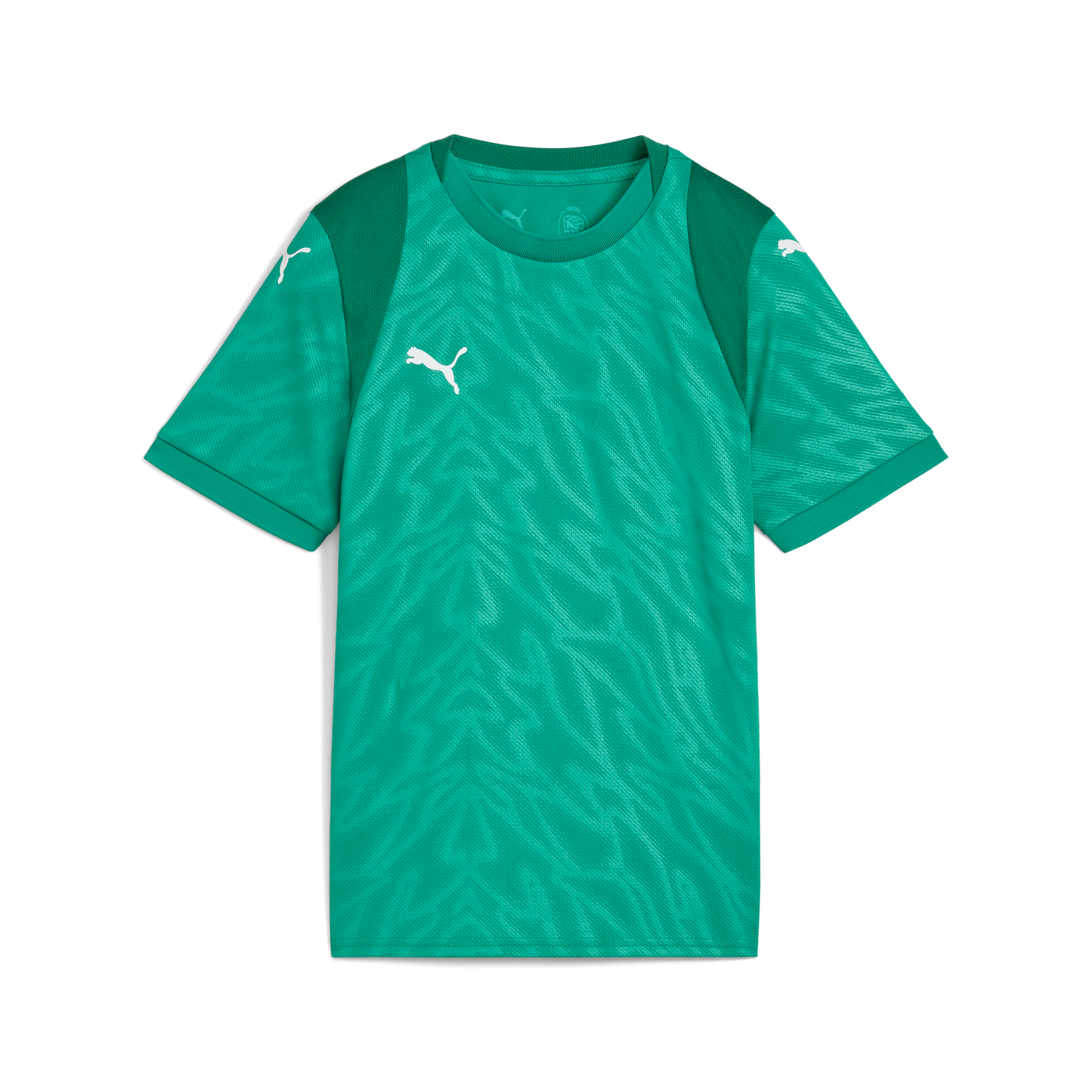 Puma teamCUP Jersey Jr