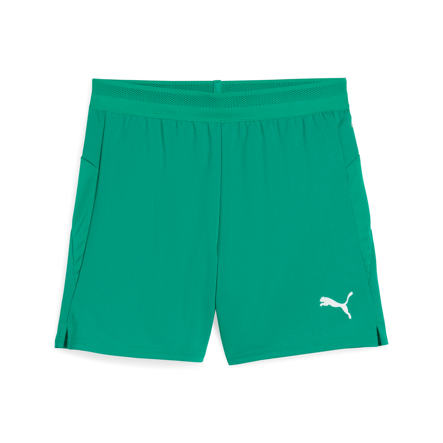 Puma teamCUP Shorts Jr