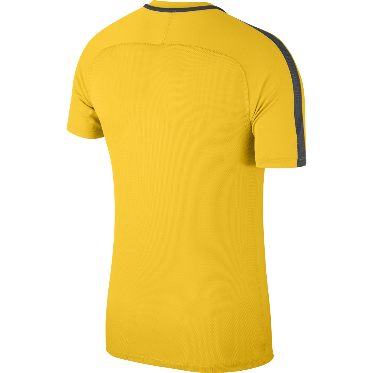 Nike Academy 18 Training Top