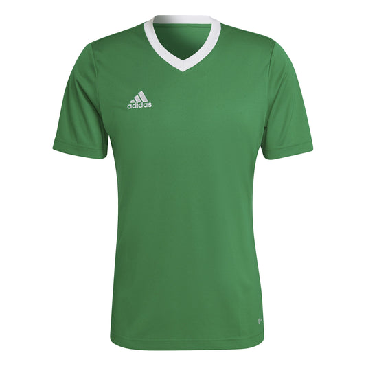 Adidas Ent22 Jsy - Team Green/White