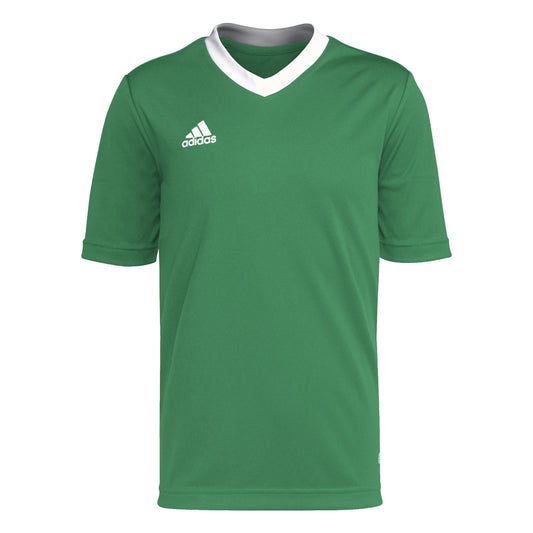 Adidas Ent22 Jsy Y - Team Green/White